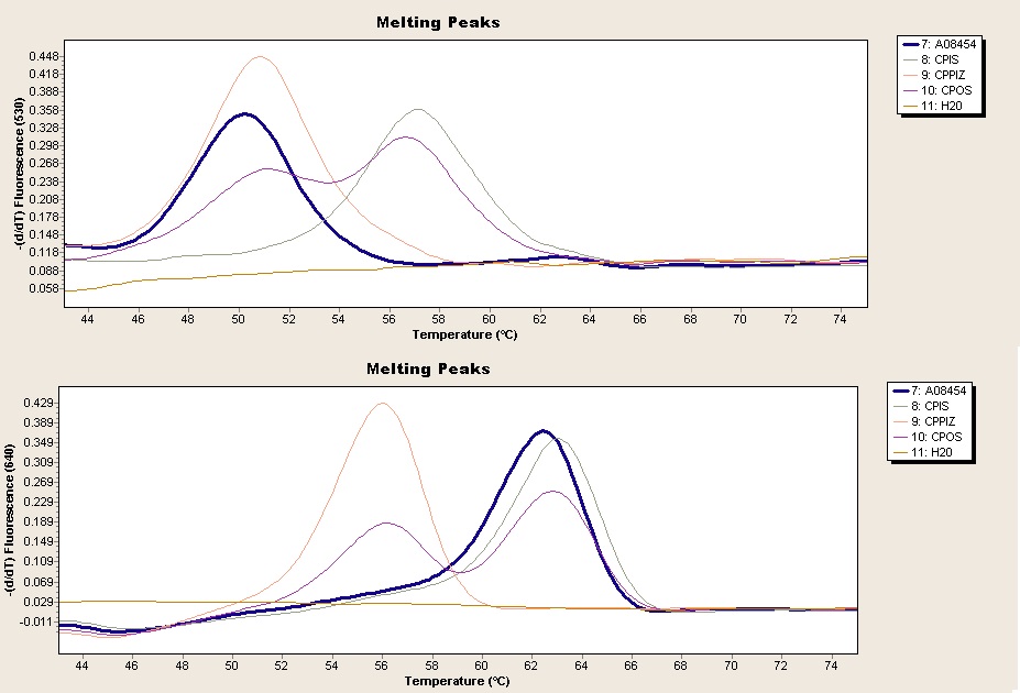 Gráficos de temperaturas y fluorescencia