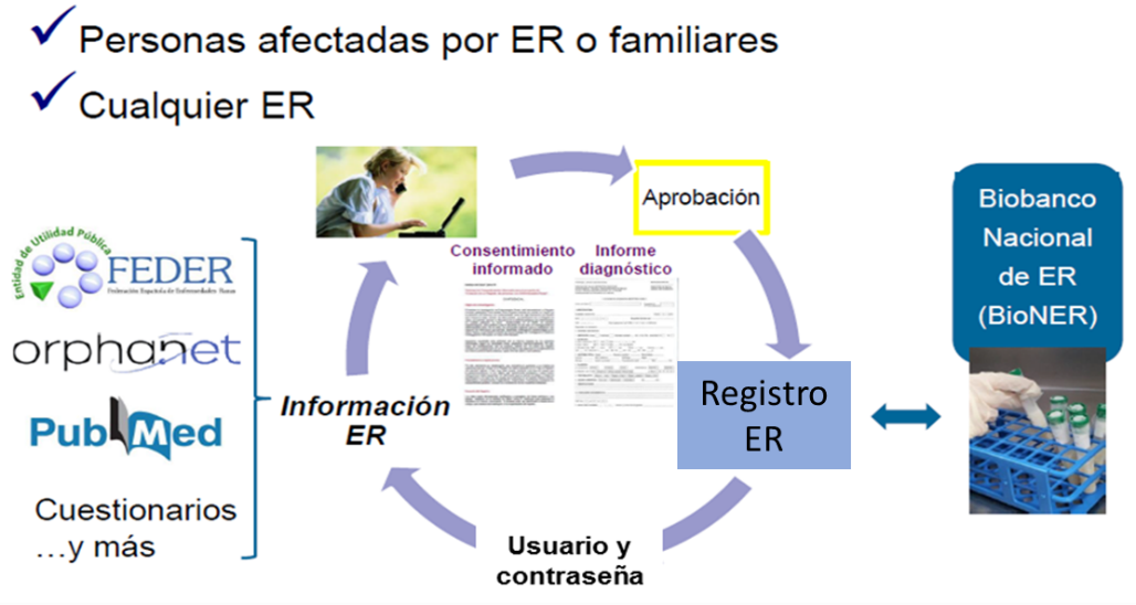 Esquema de Registro de Enfermedades Raras