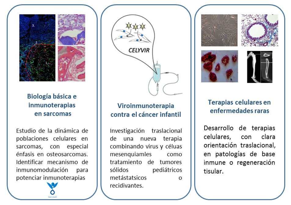 Lineas JGC.JPG