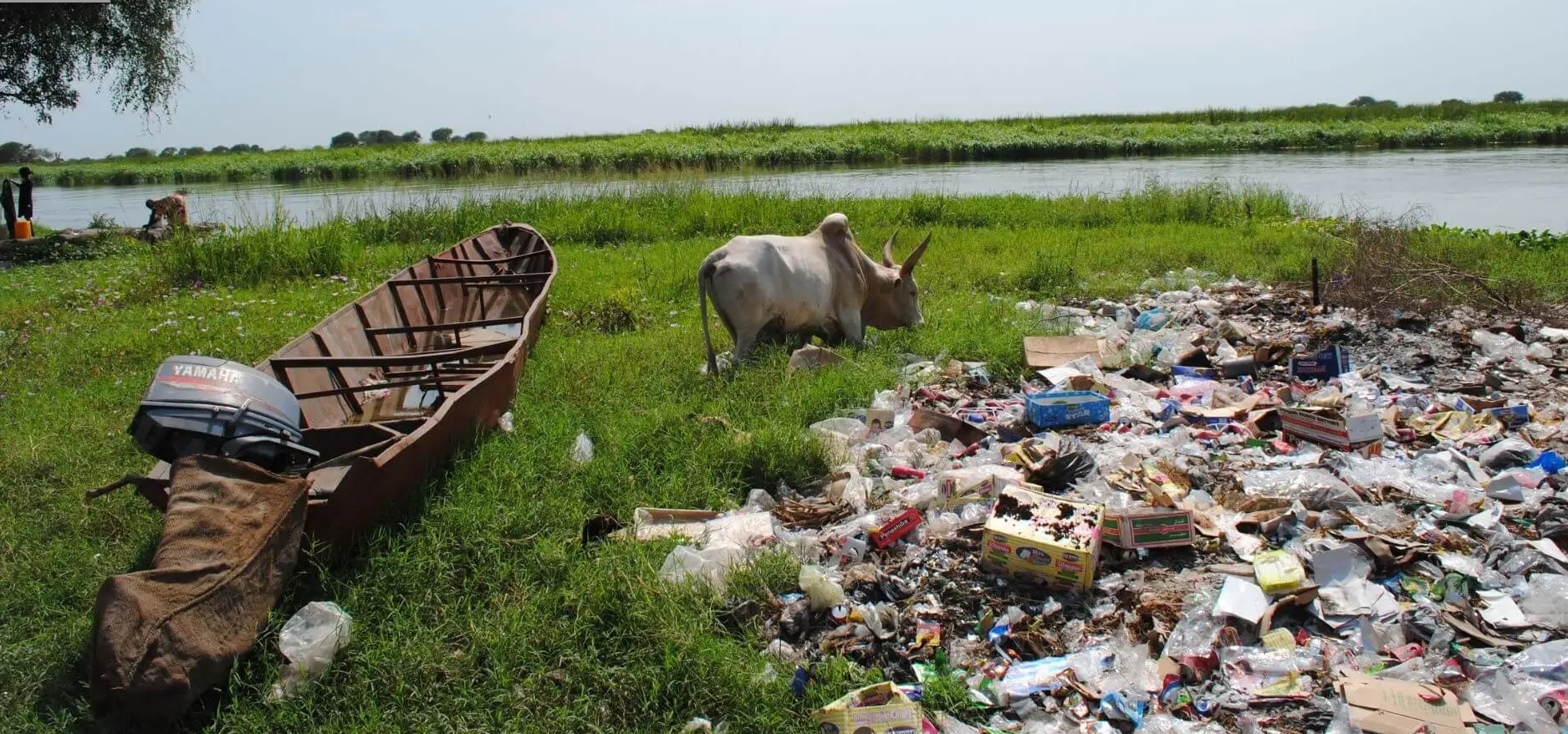 La presencia de residuos en áreas cercanas a fuentes de agua puede comprometer tanto la salud de los animales como la de las comunidades vulnerables que dependen de estos recursos para su sustento. Comunidad ribereña junto al Nilo Blanco en Old Fangak, Sudán del Sur. Fuente: Isra Cruz - Comunidad ribereña junto al Nilo Blanco en Old Fangak, Sudán del Sur  Publicado por Isra Cruz